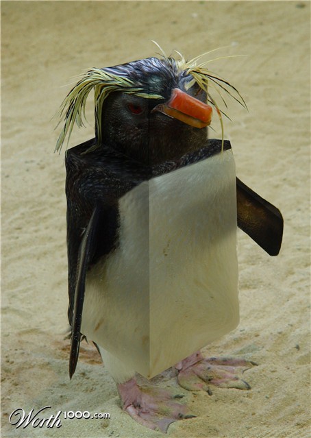 Photoshop Design by ruppelman