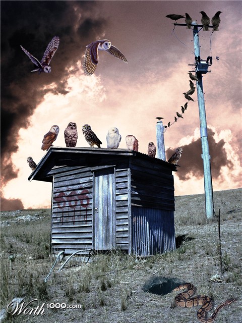 Photoshop Design by Entanglement