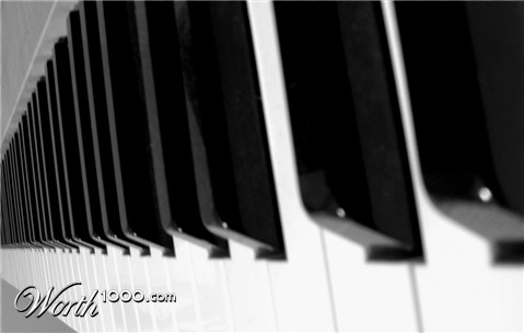 Photography by greenpuppet