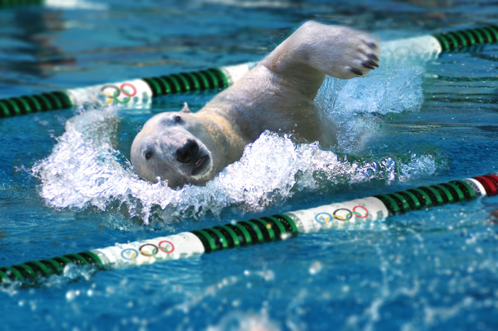 Design Photoshop par worldtraveler666 pour DesignCrowd (Community Contests) | Design #8946965