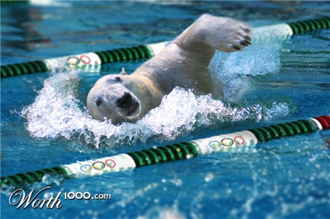 Photoshop Design by worldtraveler666