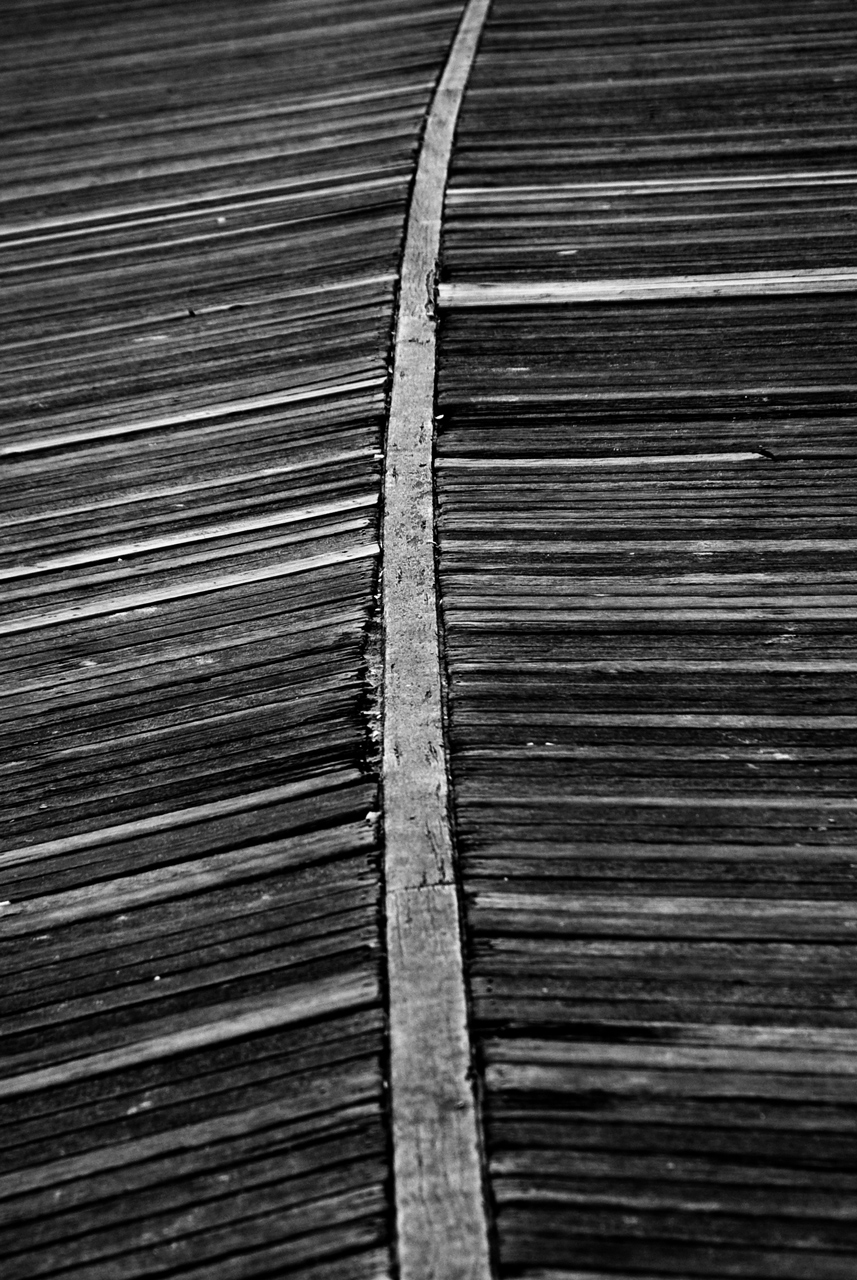 Photographie par Snakeyesman pour DesignCrowd (Community Contests) | Design #8941892