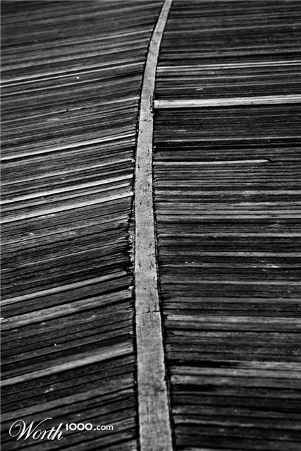 Photography by Snakeyesman