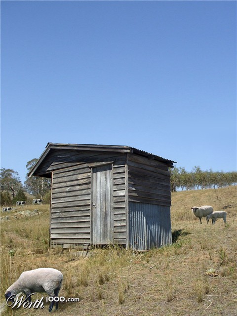 Photoshop Design by Plushiesuzie