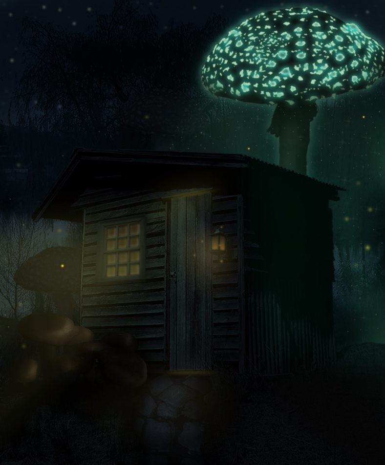 Photoshop Design by LunarRose for DesignCrowd (Community Contests) | Design #8944853