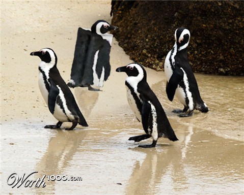 Photoshop Design by BobT55