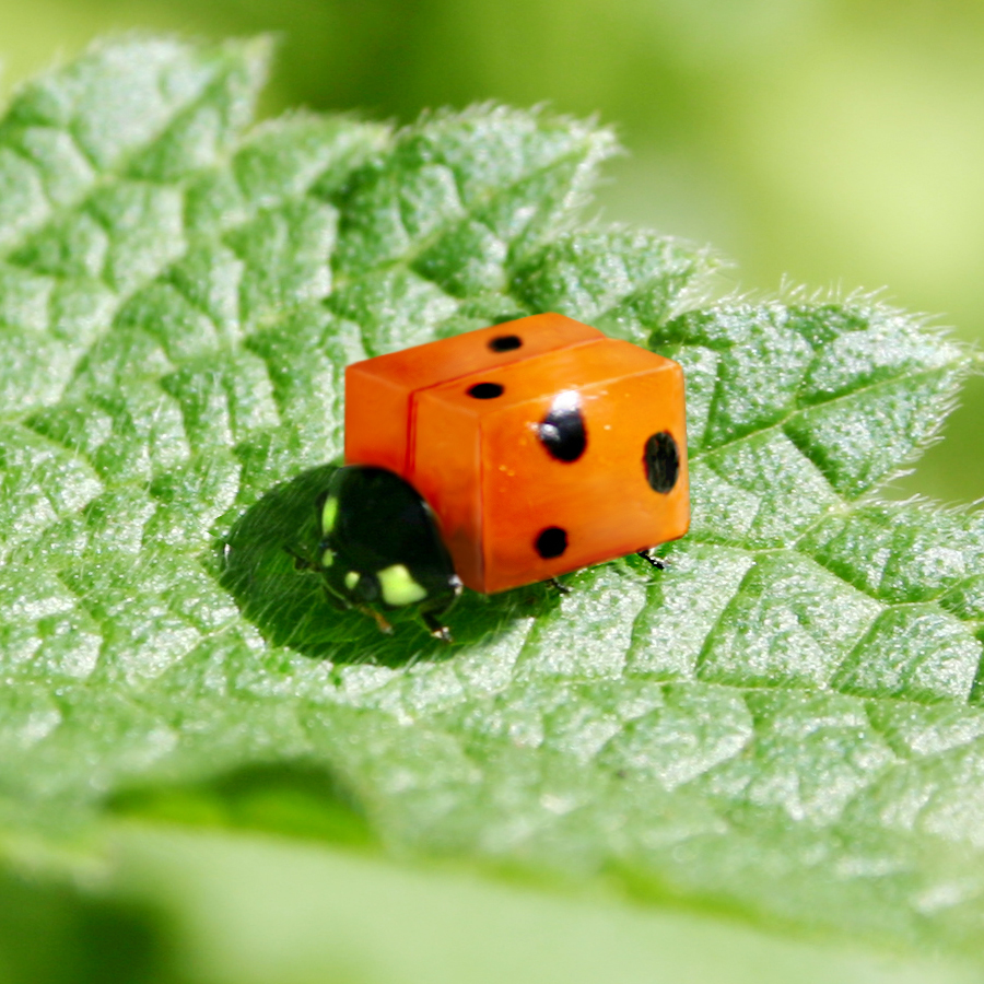 Design Photoshop par Pigia1975 pour DesignCrowd (Community Contests) | Design #8942481