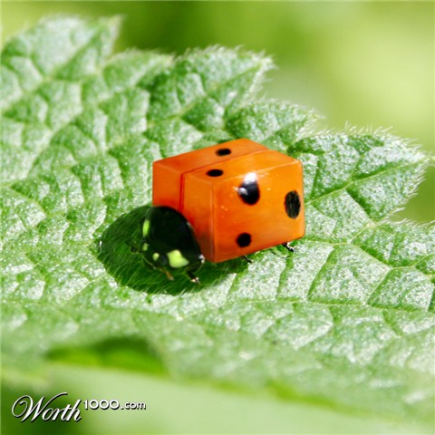 Photoshop Design by Pigia1975