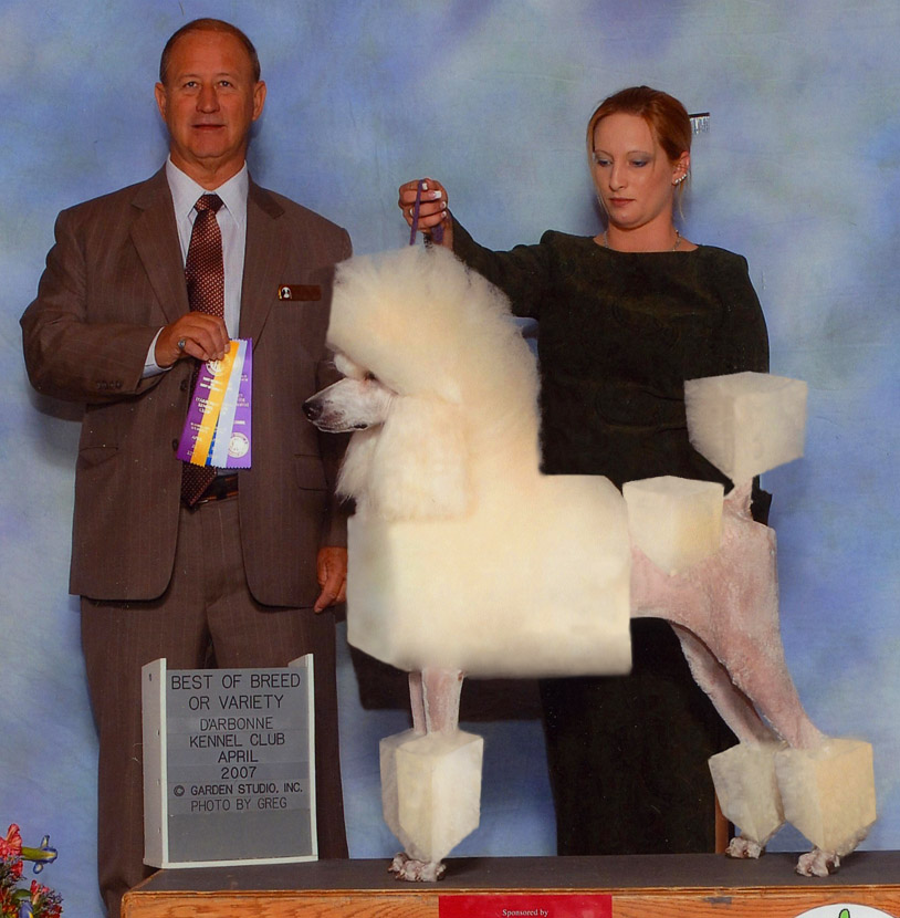 Photoshop Design by Vliegtuig for DesignCrowd (Community Contests) | Design #8942555