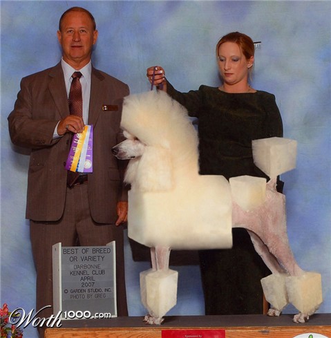 Photoshop Design by Vliegtuig