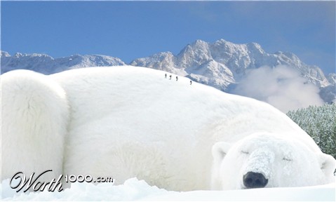 Photoshop Design by madscotsman