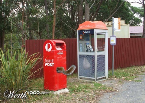 Photoshop Design by SteamPG