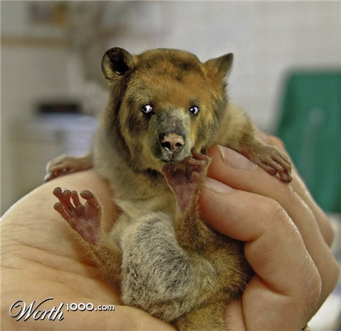 Photoshop Design by underworth