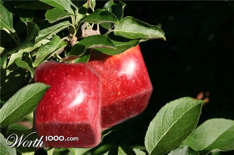 Photoshop Design by slopuc