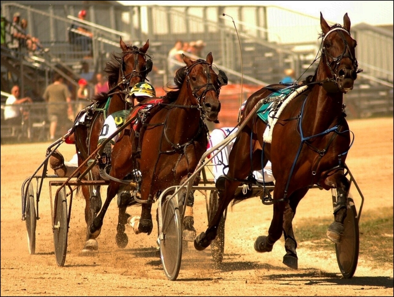 Photography by spincast1123 for DesignCrowd (Community Contests) | Design #8941914