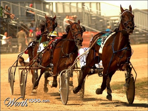 Photography by spincast1123