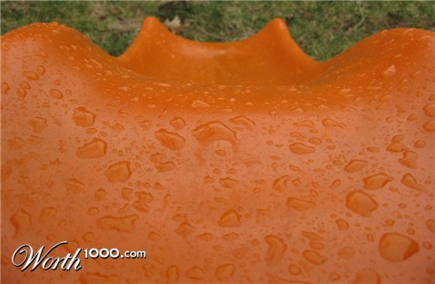 Photography by joshmom