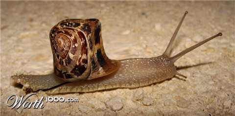 Photoshop Design by pisapdales