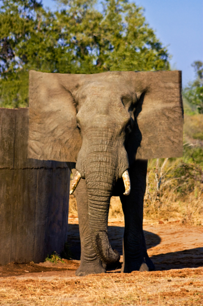 Diseño de Photoshop por BiggDaddyO para DesignCrowd (Community Contests) | Diseño #8942504