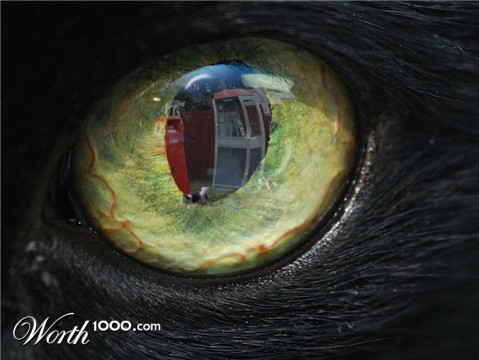 Photoshop Design by kathiess