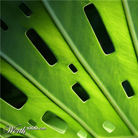Photoshop Design by Cerium