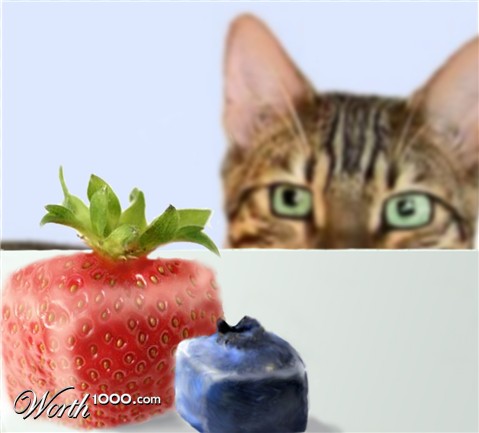 Photoshop Design by maddiemay