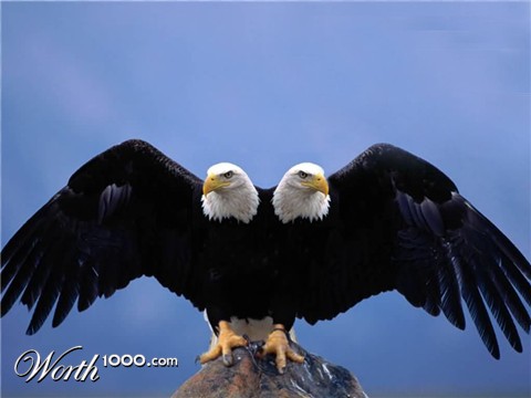 Photoshop Design by mdali2020