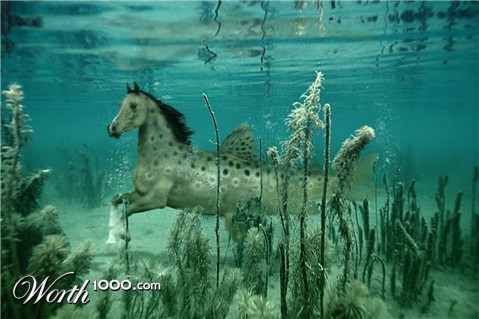 Photoshop Design by Kjirka