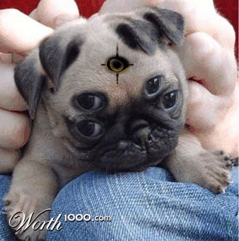 Photoshop Design by Bailey18