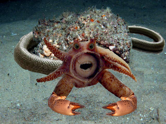 Diseño de Photoshop por johnpalmq para DesignCrowd (Community Contests) | Diseño #8942692