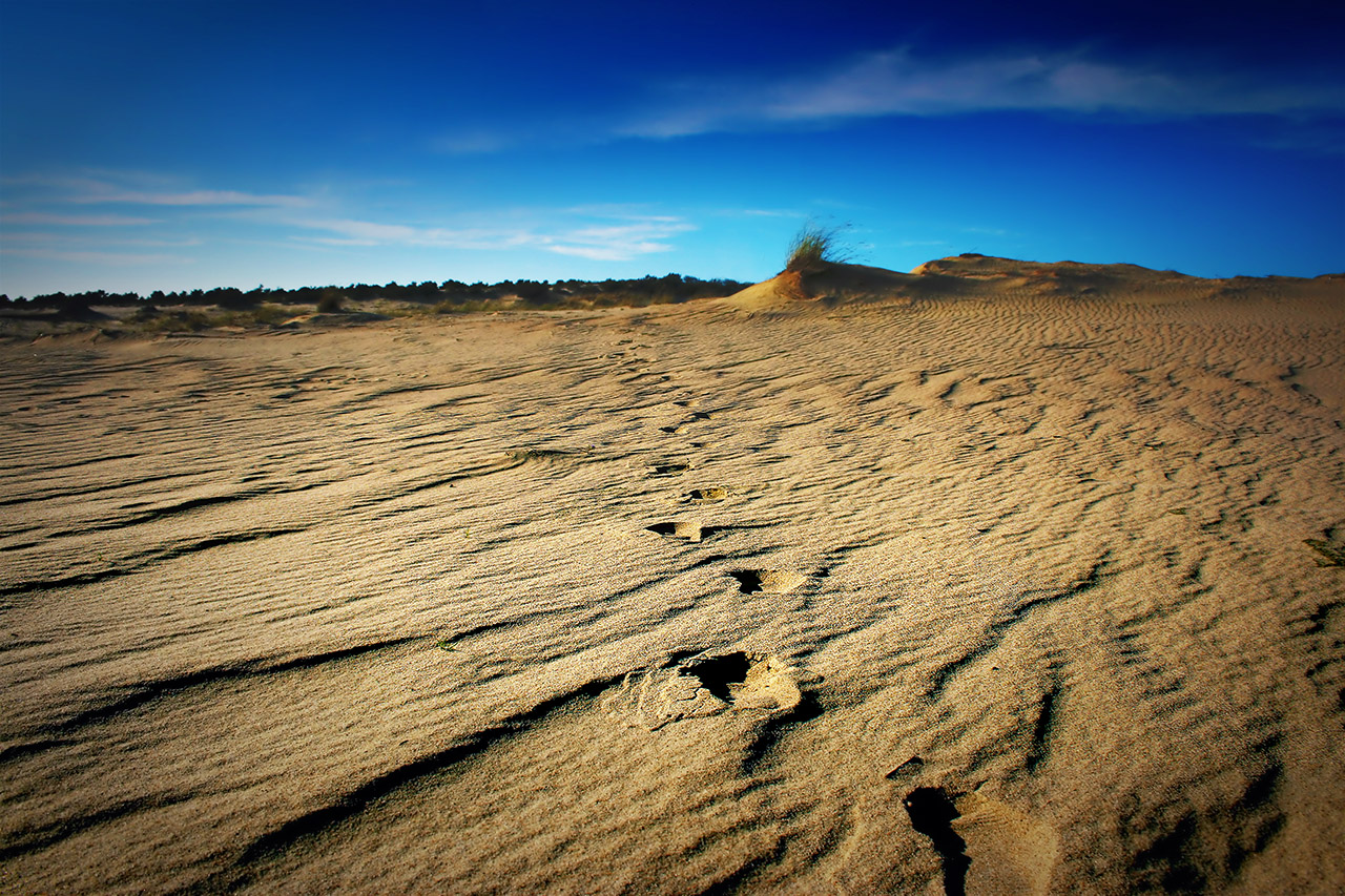 Photography by Gedas Meskunas for DesignCrowd (Community Contests) | Design #8939250
