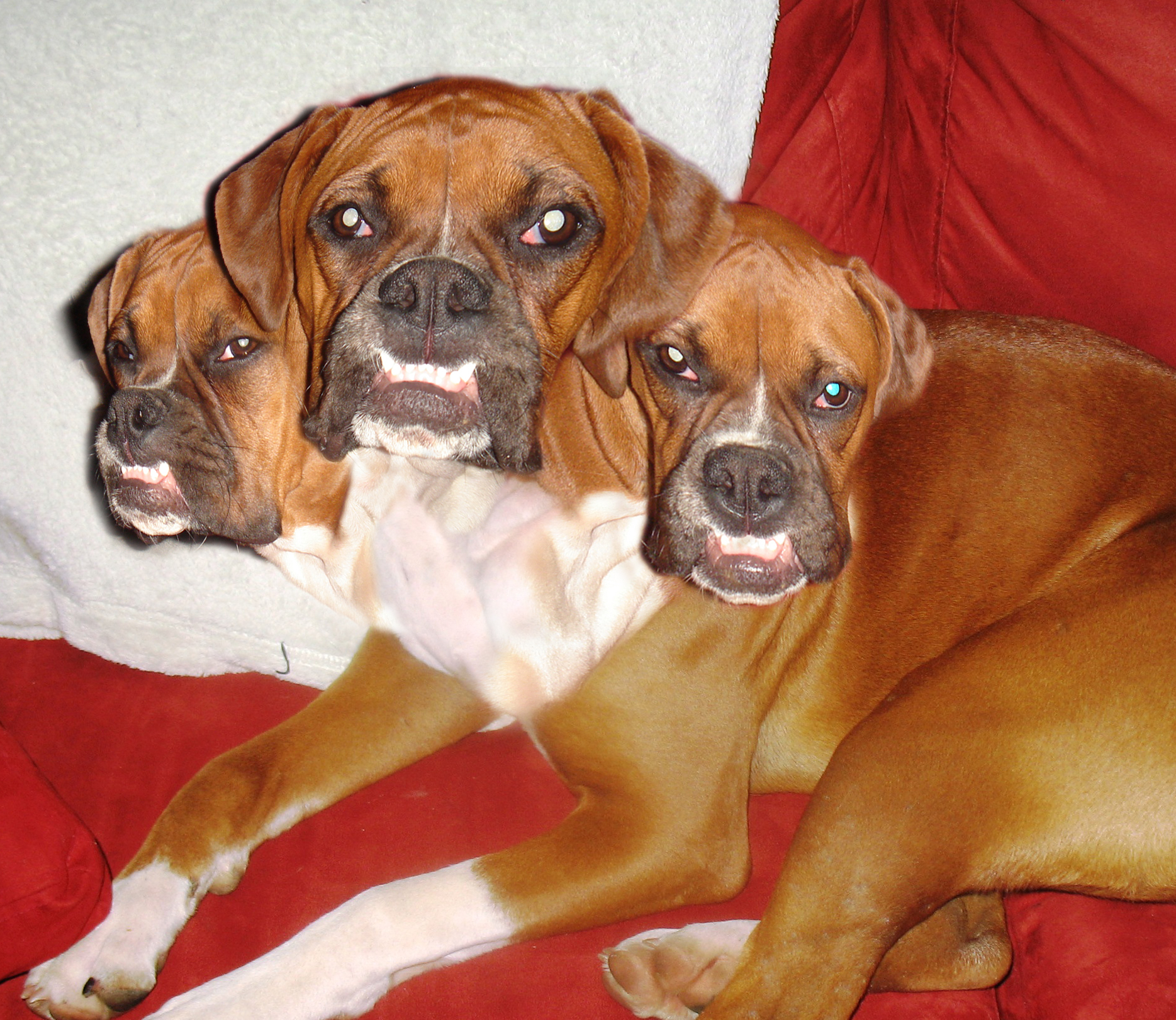 Photoshop Design by rmcelroy for DesignCrowd (Community Contests) | Design #8942272