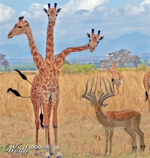 Photoshop Design by jaca1984