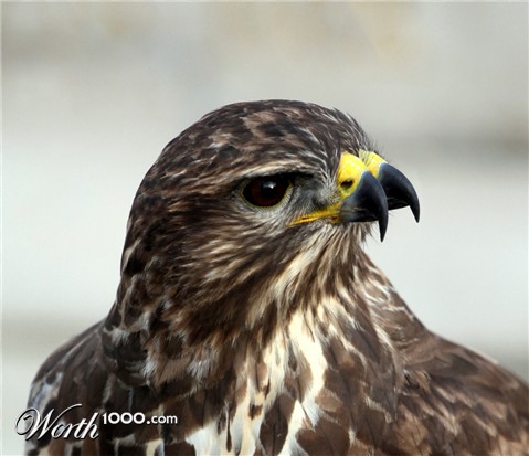 Photoshop Design by stormr