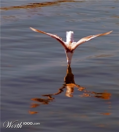 Photography by frankacaba