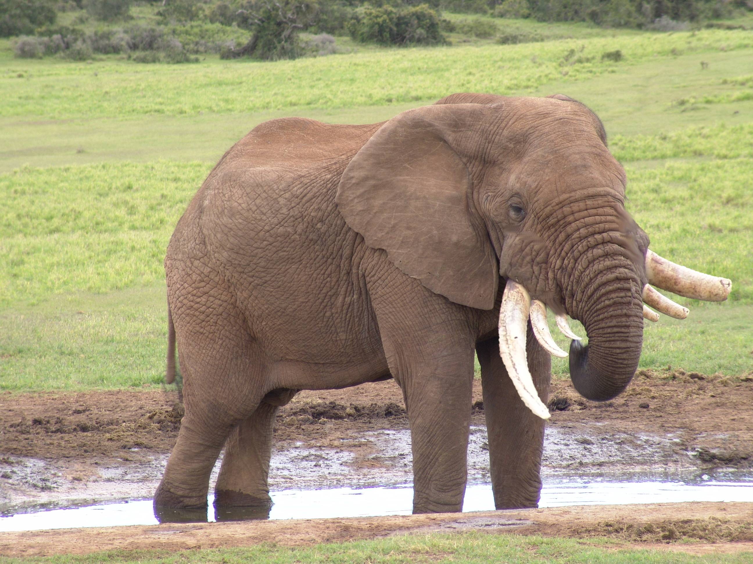 Diseño de Photoshop por blazer21 para DesignCrowd (Community Contests) | Diseño #8942395