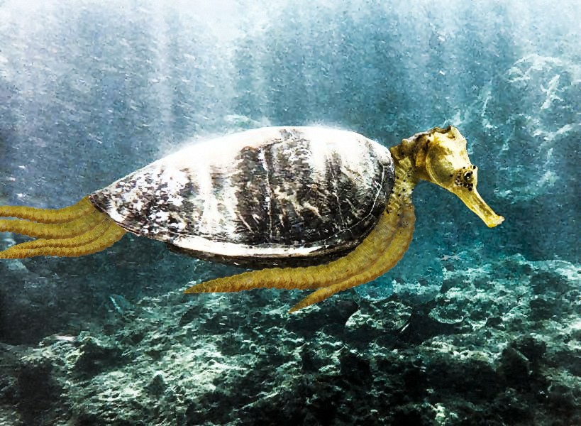 Photoshop Design by MissDoLL for DesignCrowd (Community Contests) | Design #8942709