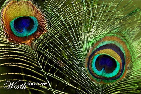 Photoshop Design by maddiemay