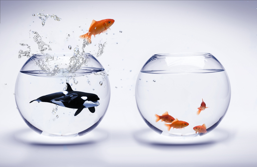 Photoshop Design by Dietcola for DesignCrowd (Community Contests) | Design #8946157