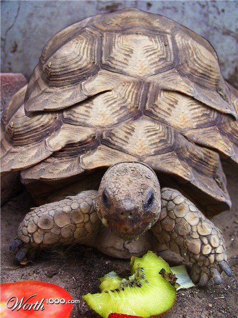 Photoshop Design by allstate