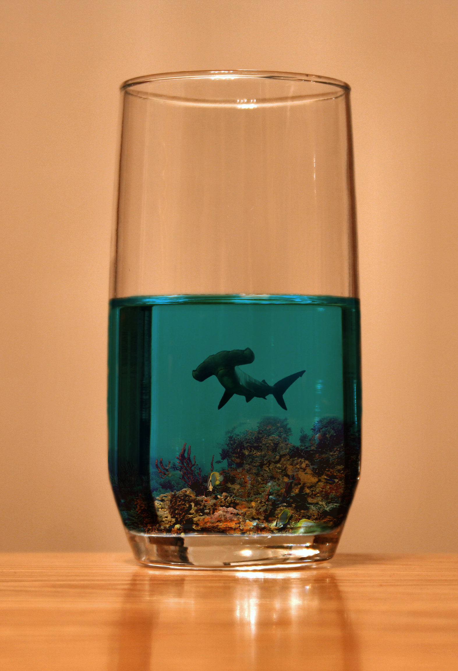 Photoshop Design by stylezz1 for DesignCrowd (Community Contests) | Design #8946163