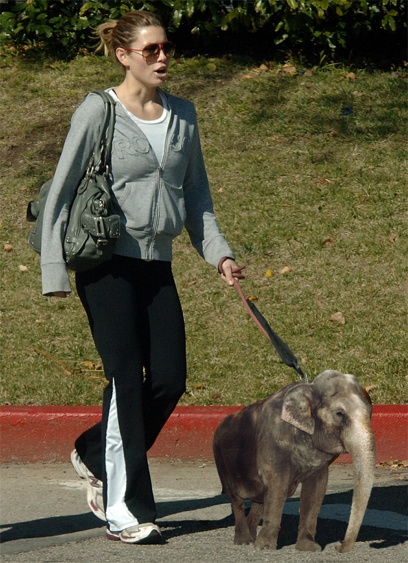 Diseño de Photoshop por velde046 para DesignCrowd (Community Contests) | Diseño #8946167