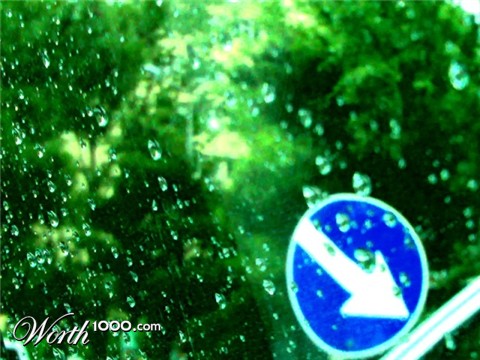 Photography by tigruna