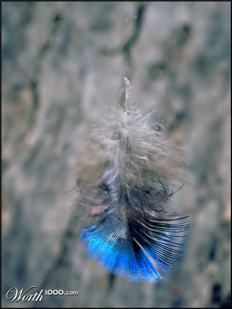 Photography by Isabella2006