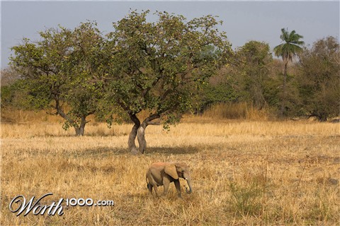 Photoshop Design by visualX