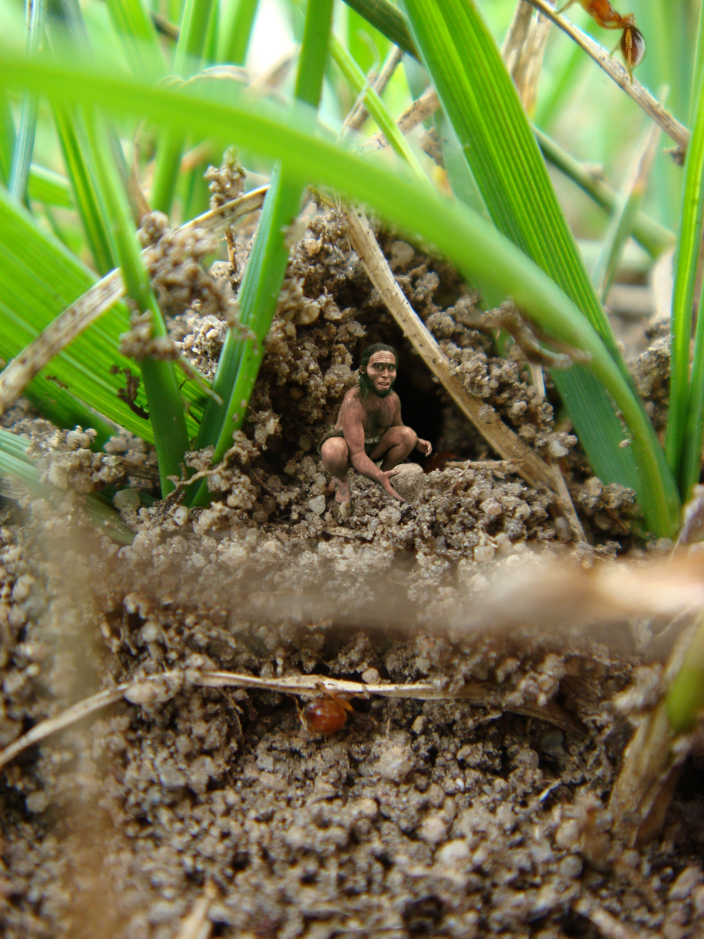 Photoshop Design by julixyde for DesignCrowd (Community Contests) | Design #8946184