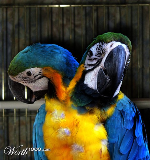 Photoshop Design by JonathanAnderson