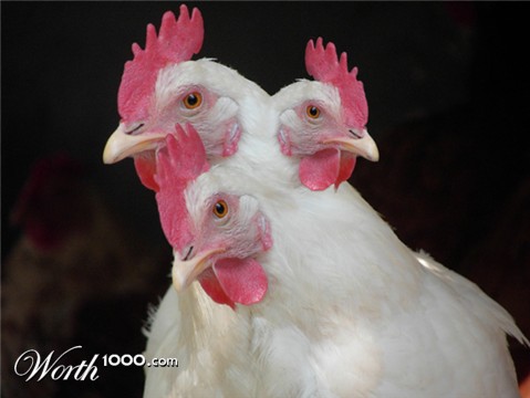 Photoshop Design by Invision