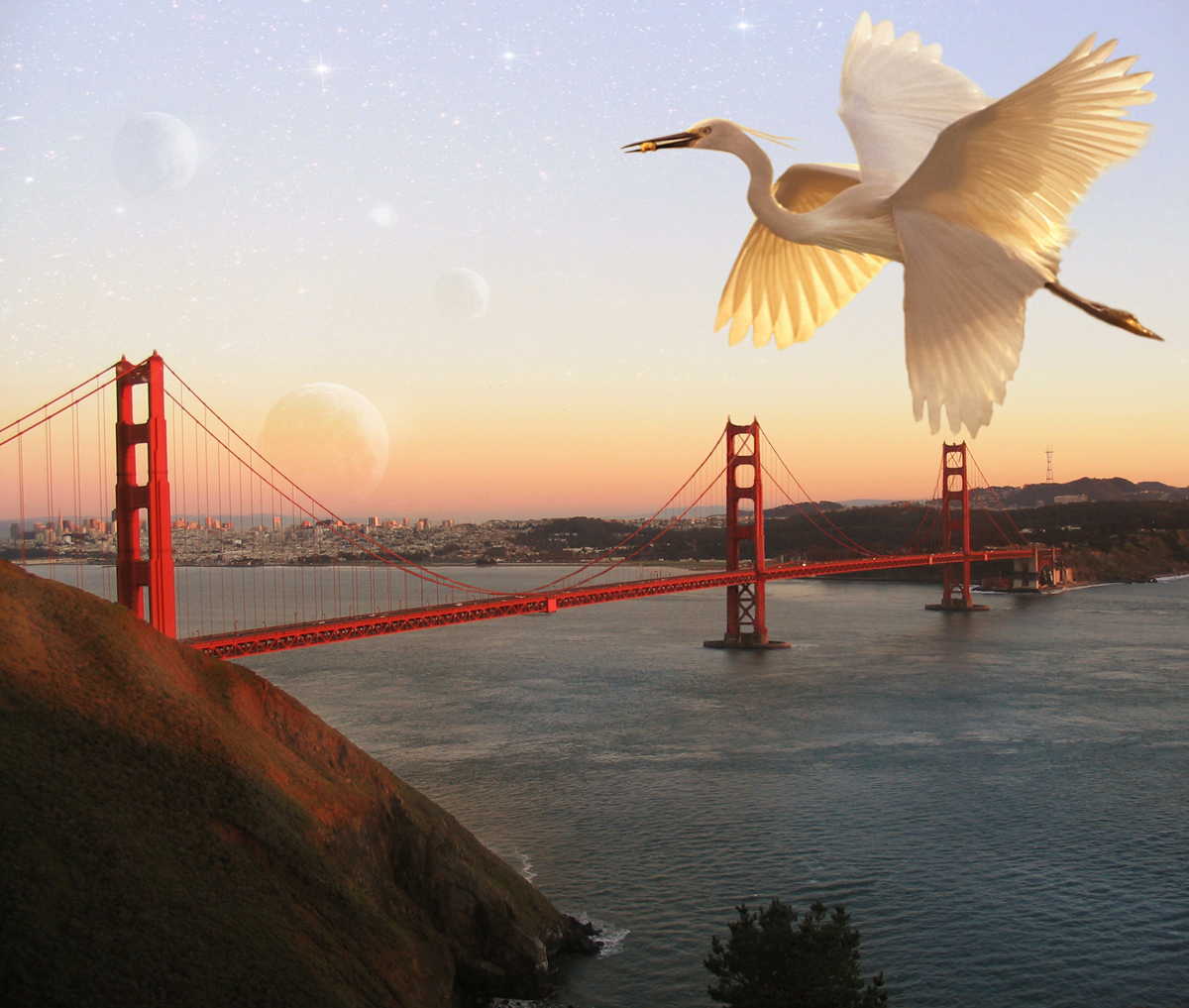 Photoshop Design by Boeschinator for DesignCrowd (Community Contests) | Design #8942486