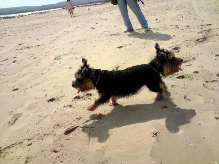 Photoshop Design by DiscardedPolaroid for DesignCrowd (Community Contests) | Design #8942526